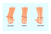 Effects of Foot Pronation